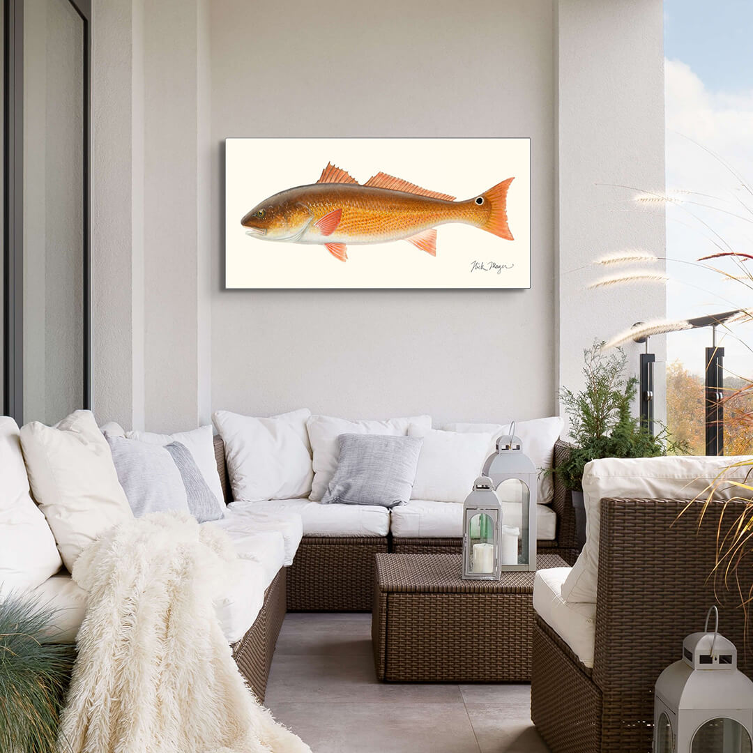 Red Drum Decor Redfish Painting Gift for Him, Redfish Wall Art Print for a  Red Drum Fisherman. Hand-signed by the Artist. 