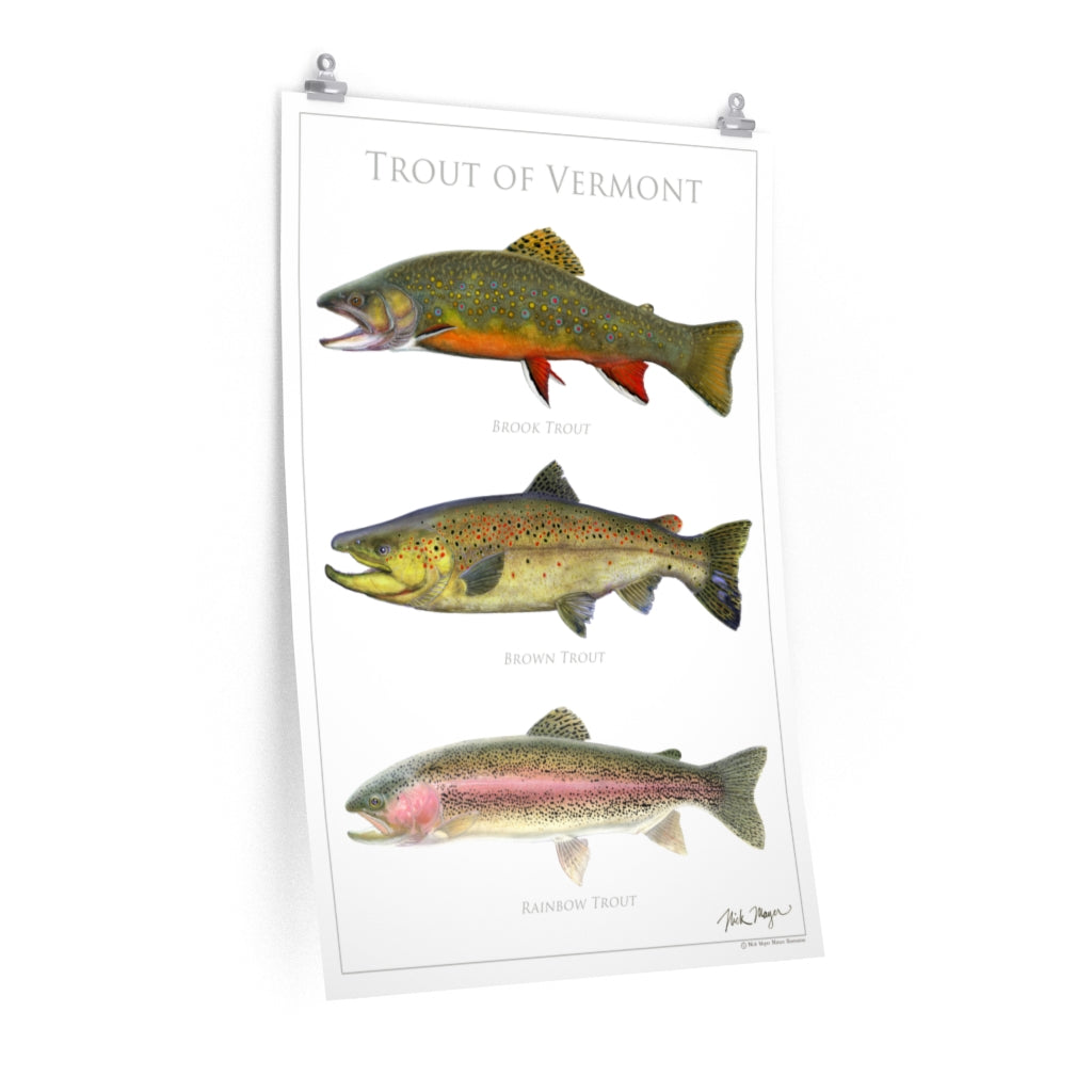 Catch & Release Trout Fly Fishing Art Poster by darkmountainarts