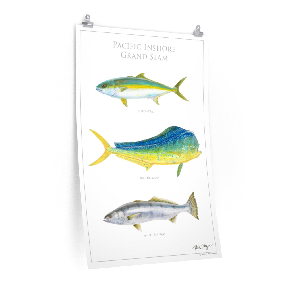 All Other Books :: Posters :: Saltwater Sport Fish of the Pacific