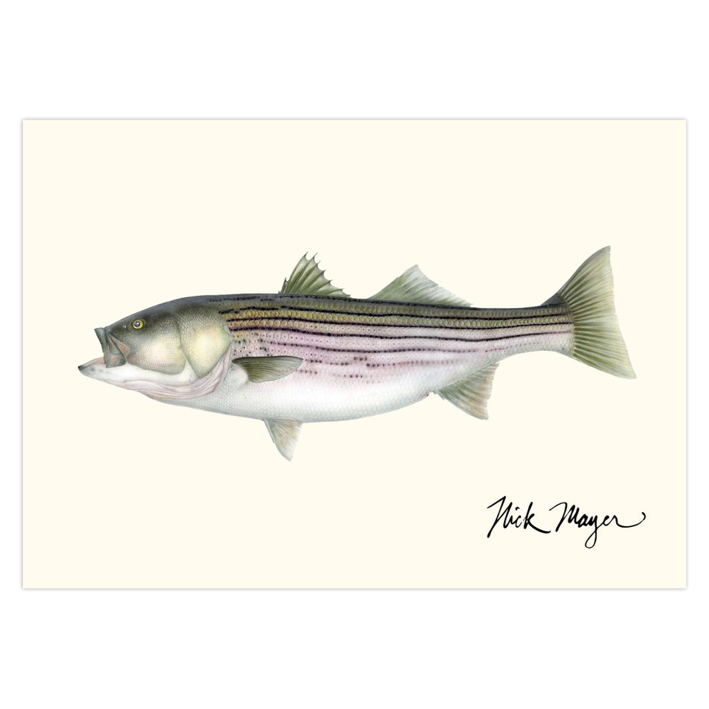 New England Icon Striped Bass Notecards