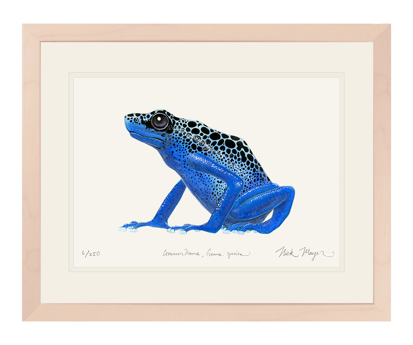 Frog Fishing Art -  Denmark