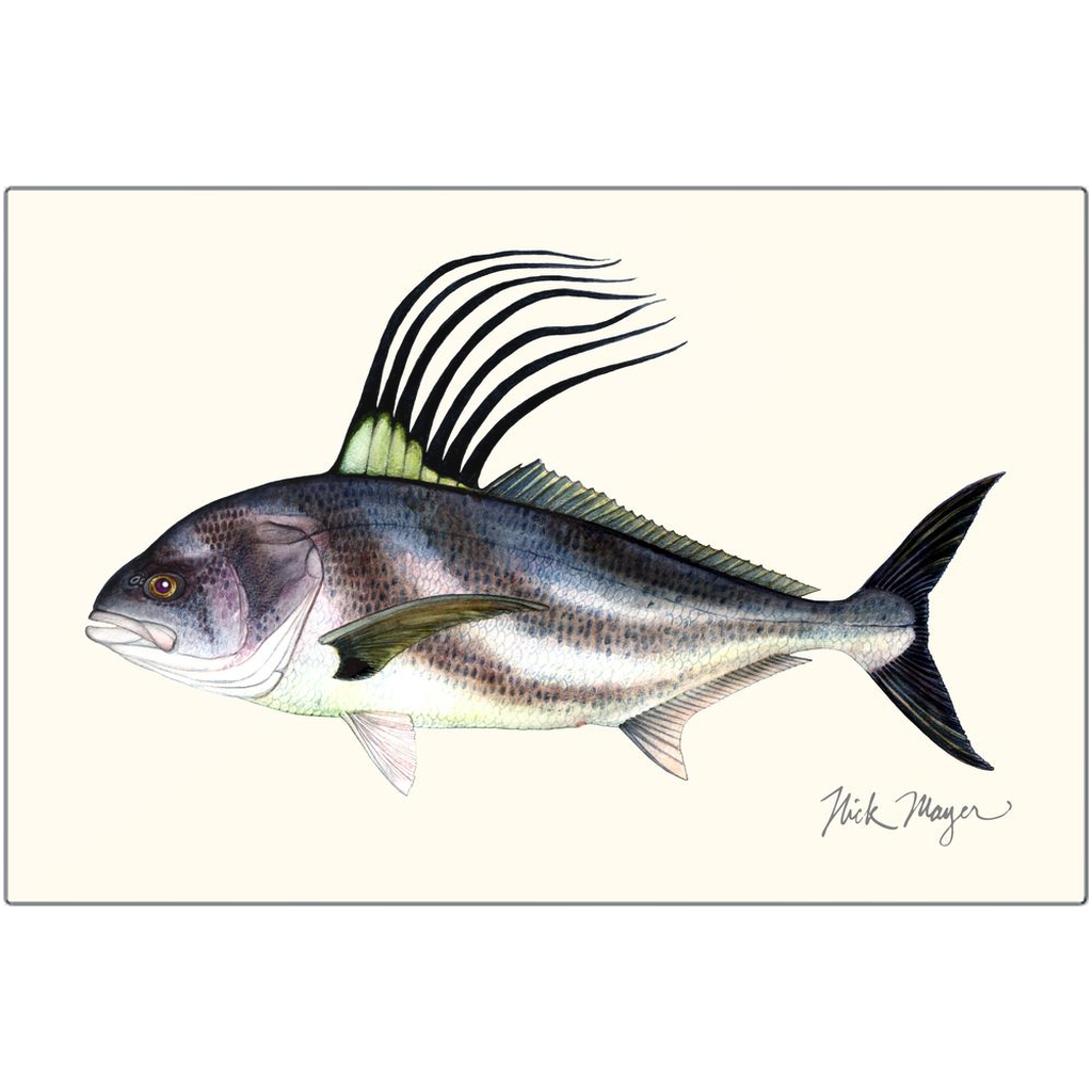 Preserve Your Catch Forever with a High Gloss Roosterfish Metal Print
