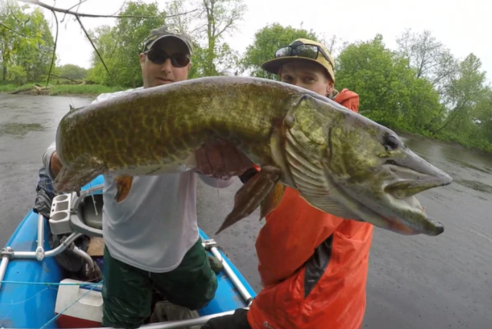 Muskie!