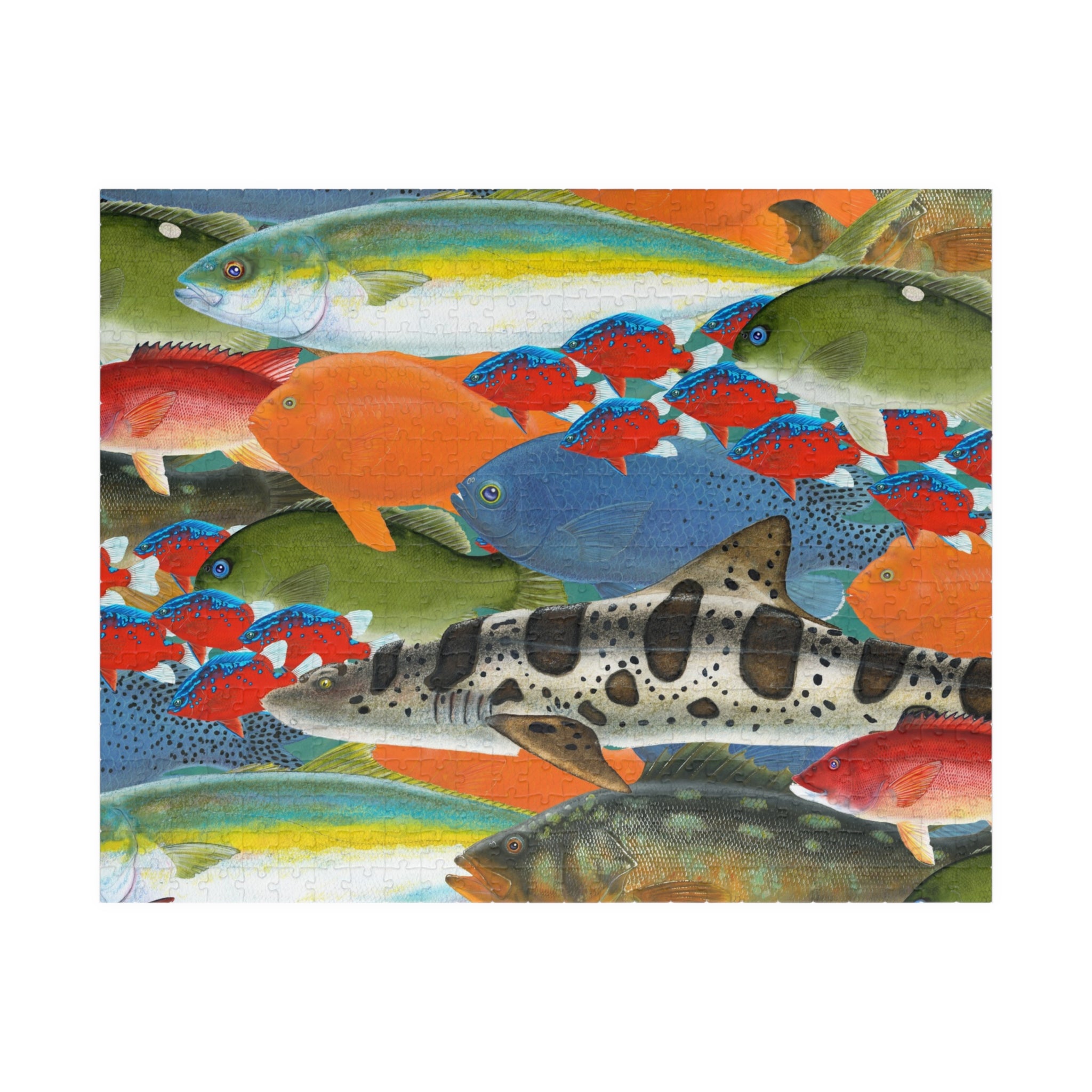 California Dive Fish Art Jigsaw Puzzle (110, 252, 520, 1014-piece)