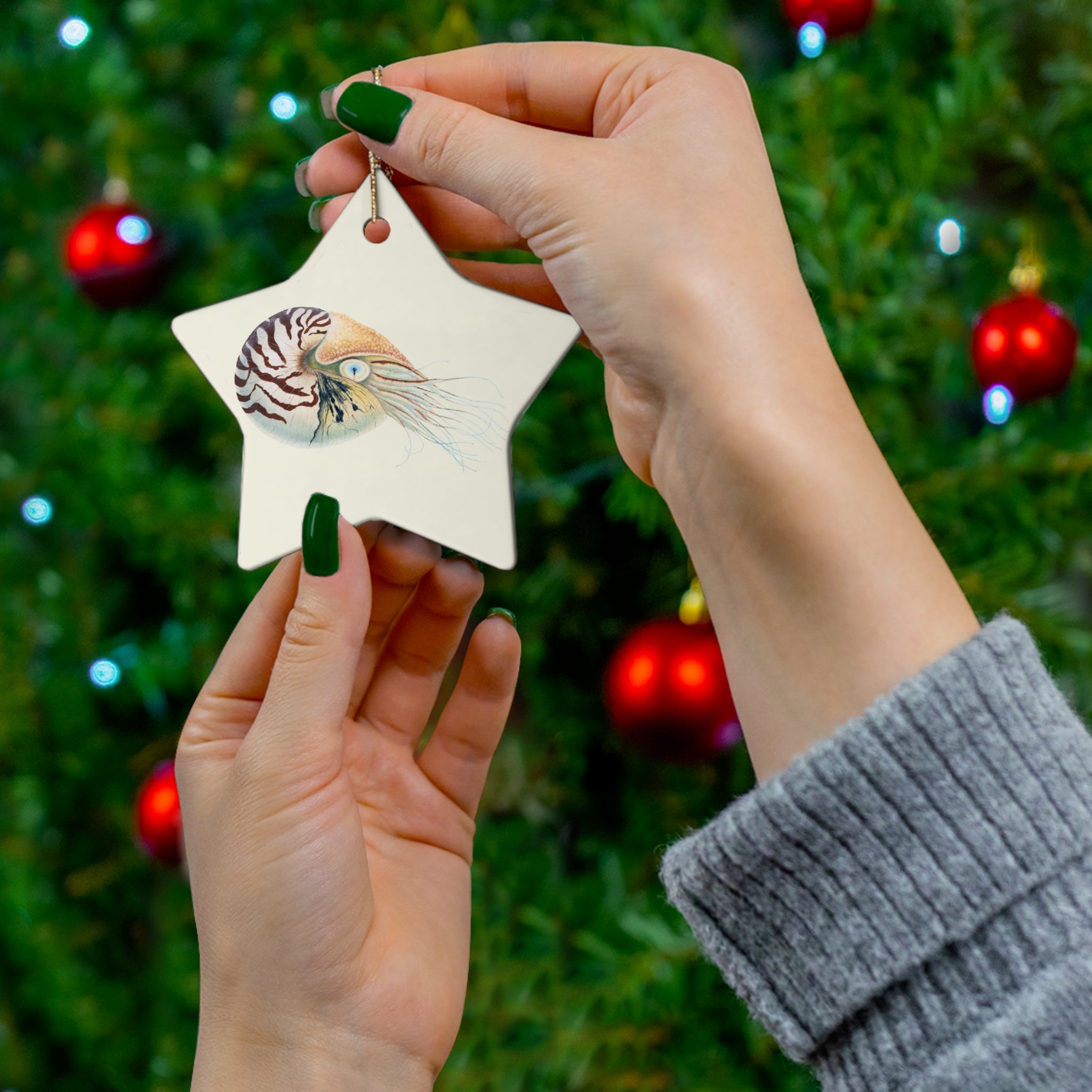 Chambered Nautilus Ceramic Ornament