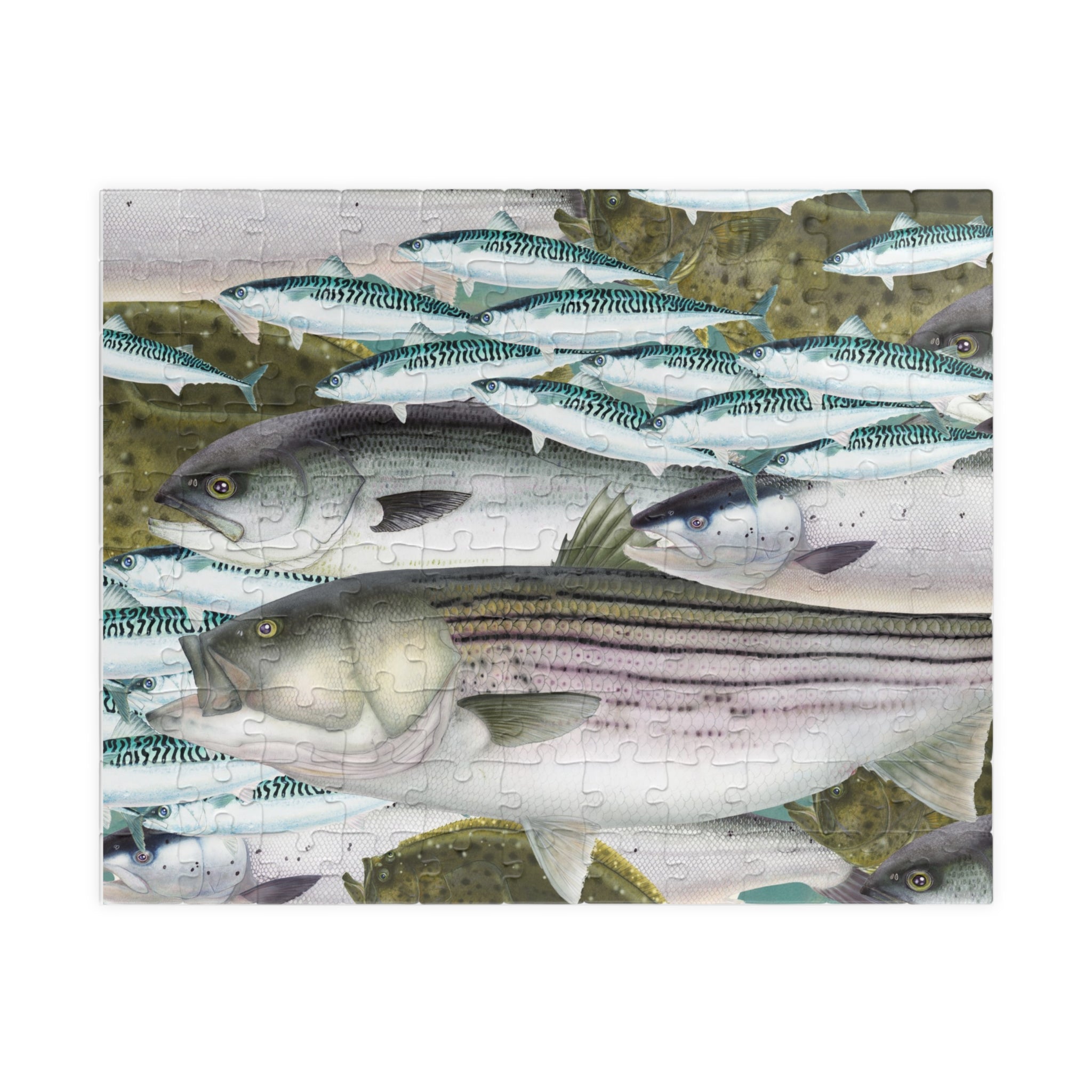 New England Surfcaster Fish Art Puzzle (110, 252, 520, 1014-piece)