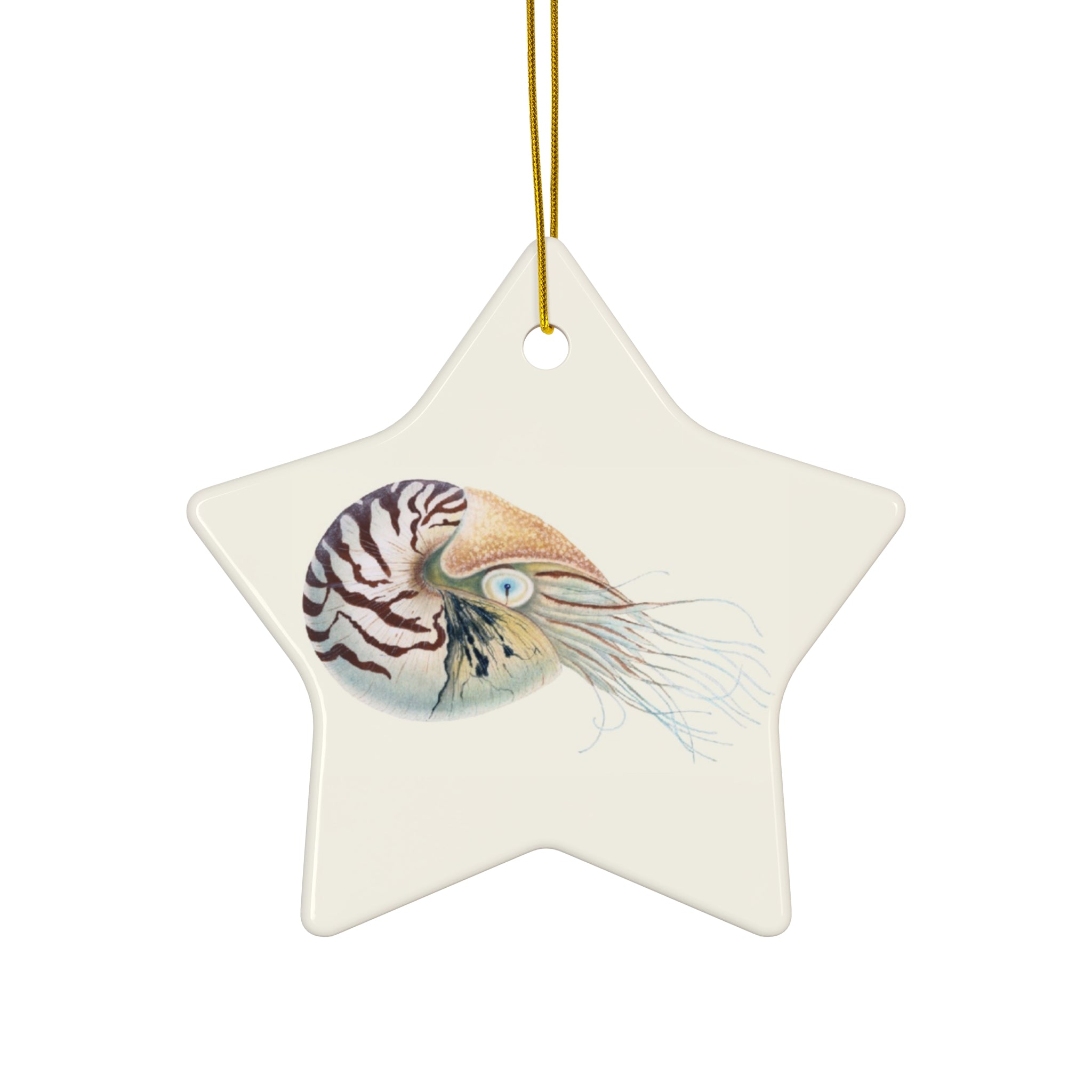 Chambered Nautilus Ceramic Ornament