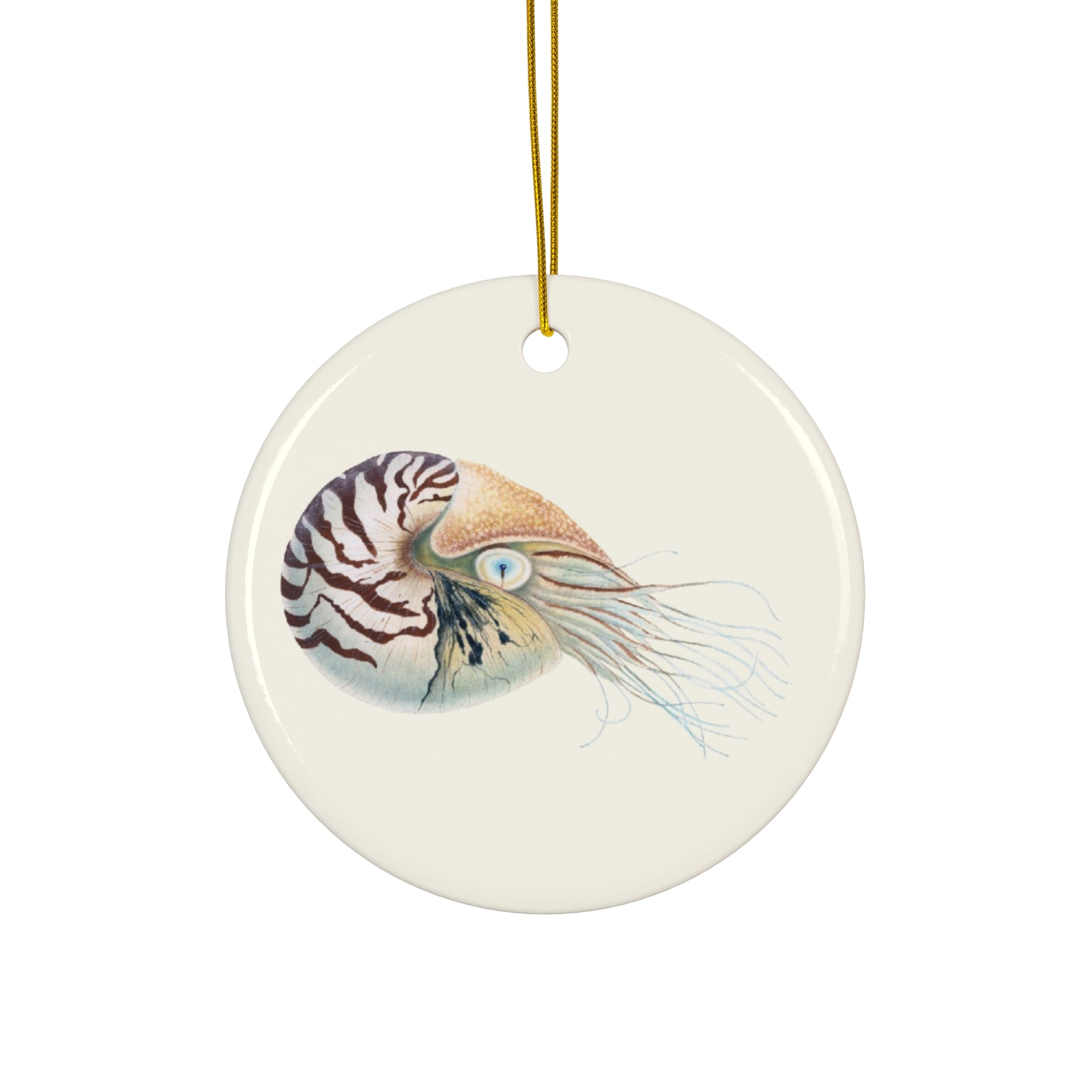 Chambered Nautilus Ceramic Ornament