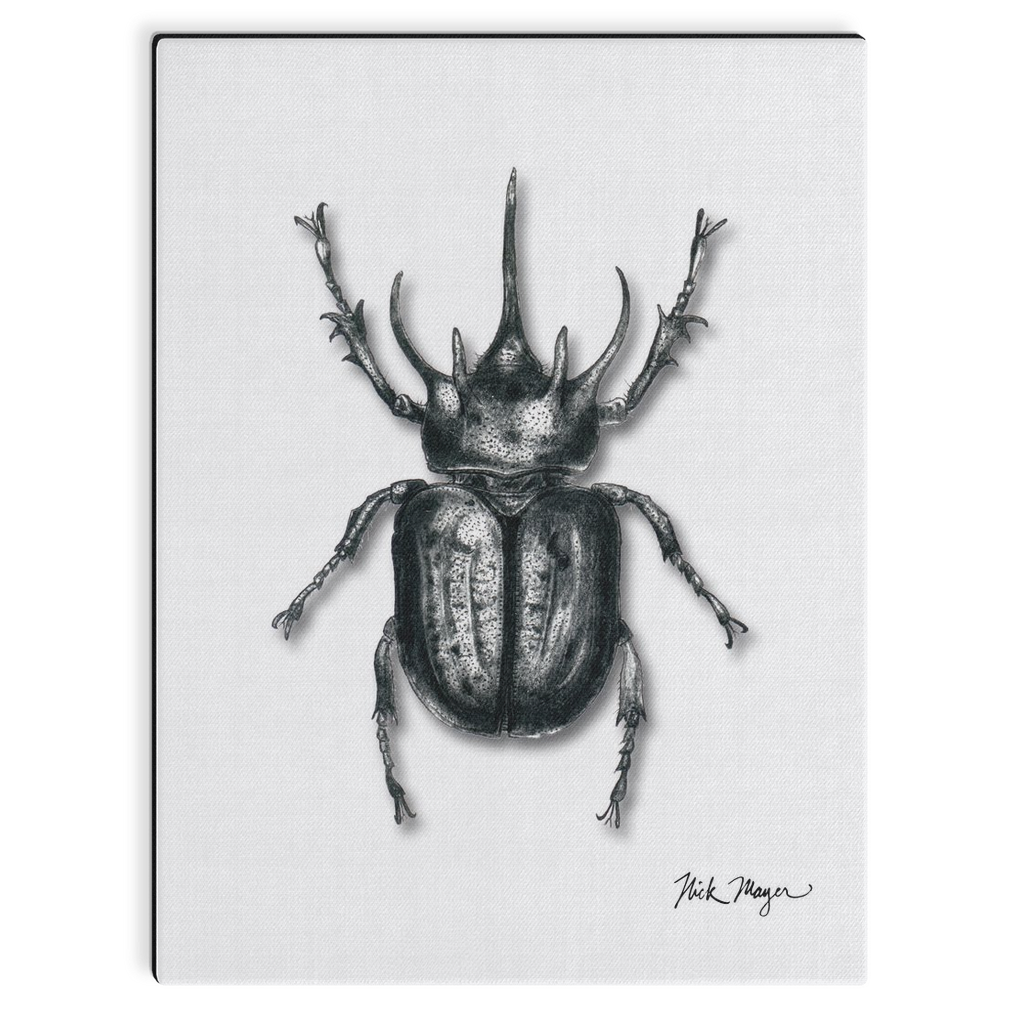 Rhinoceros Beetle Canvas Print