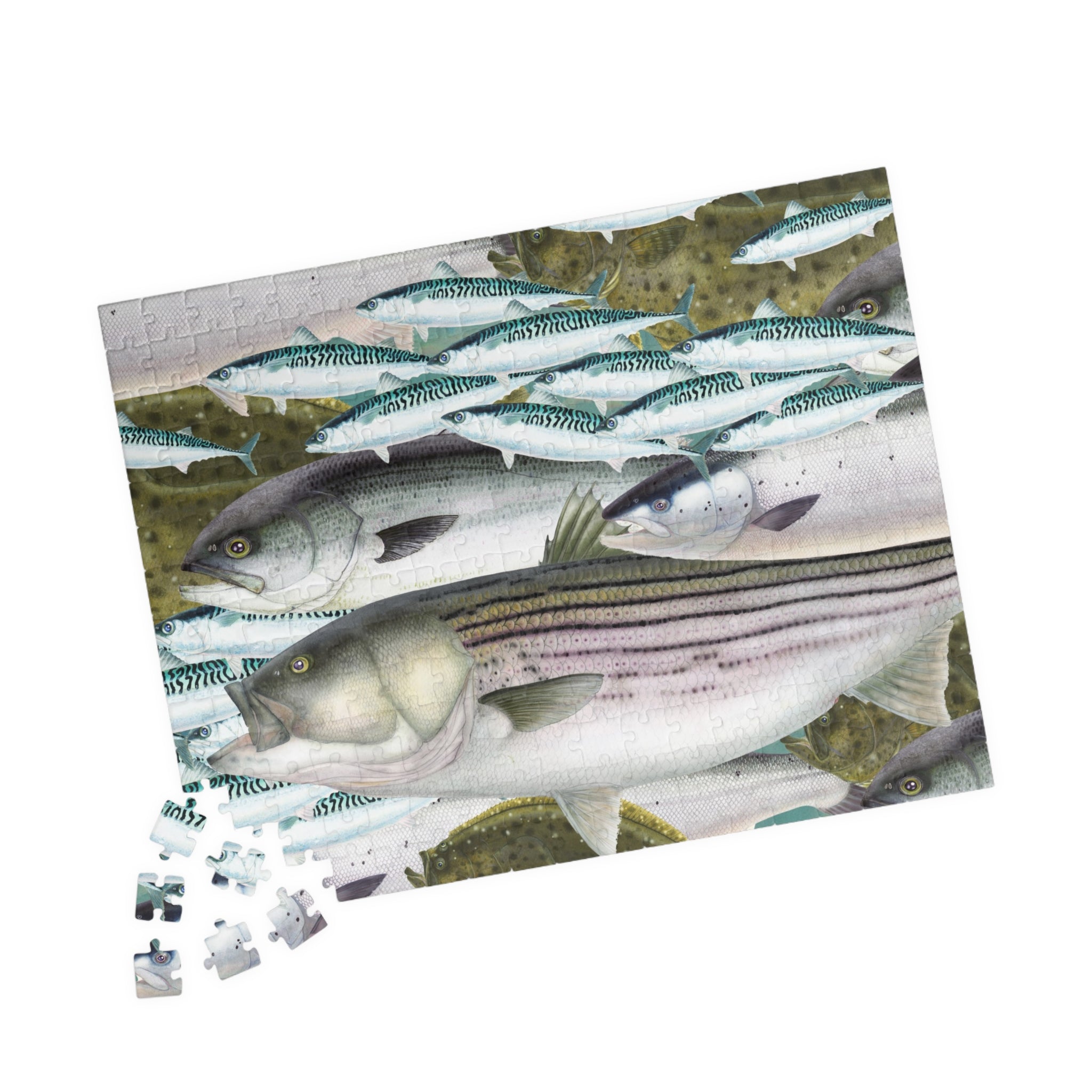 New England Surfcaster Fish Art Puzzle (110, 252, 520, 1014-piece)