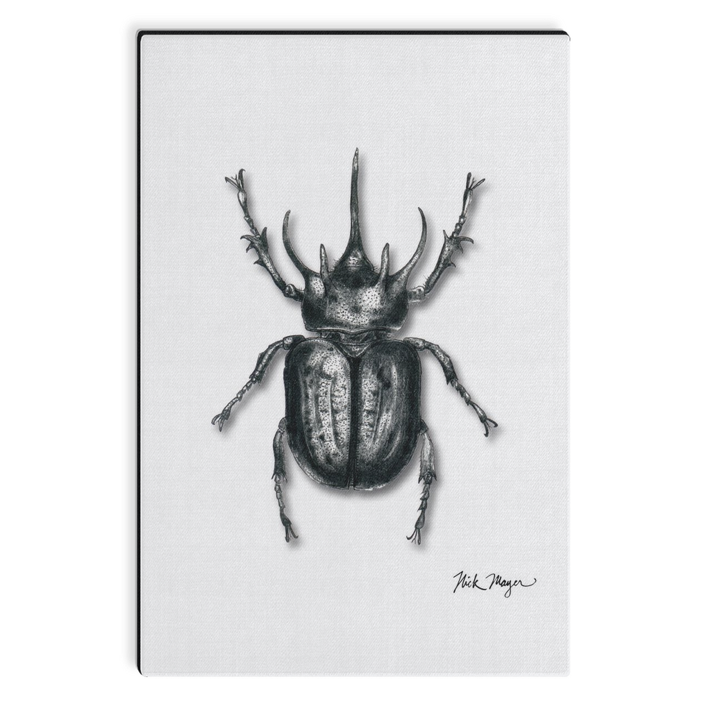 Rhinoceros Beetle Canvas Print