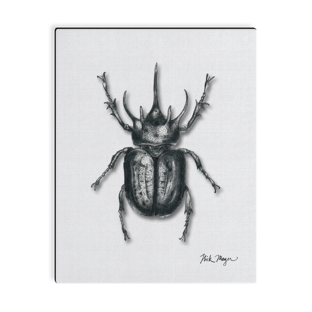 Rhinoceros Beetle Canvas Print