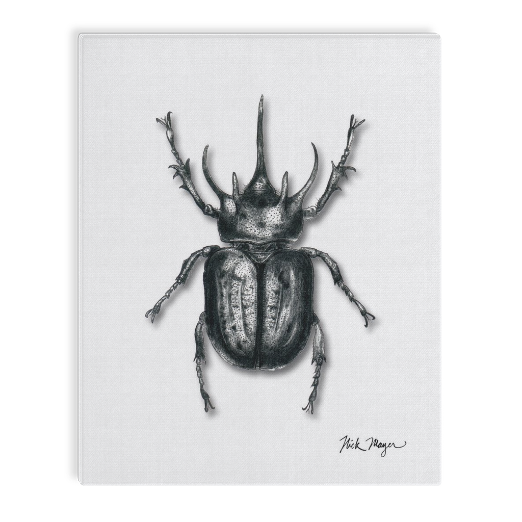 Rhinoceros Beetle Canvas Print