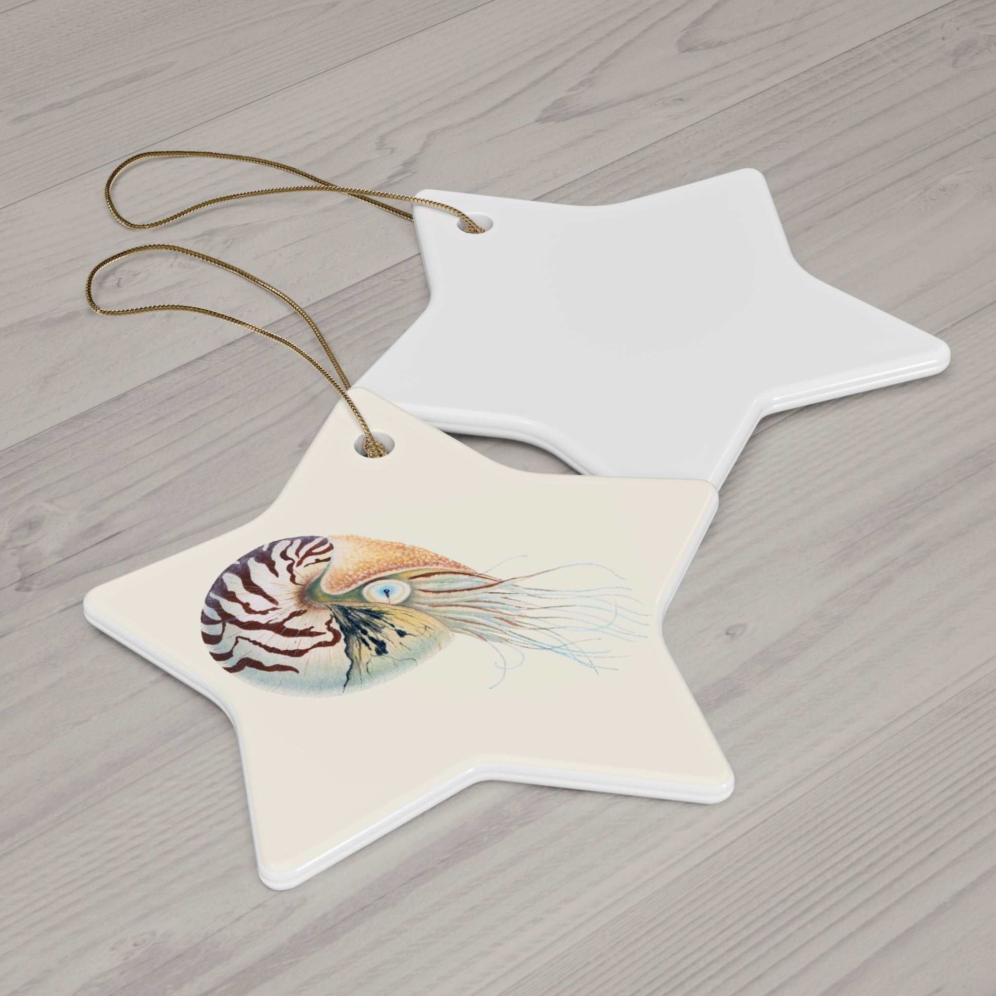 Chambered Nautilus Ceramic Ornament