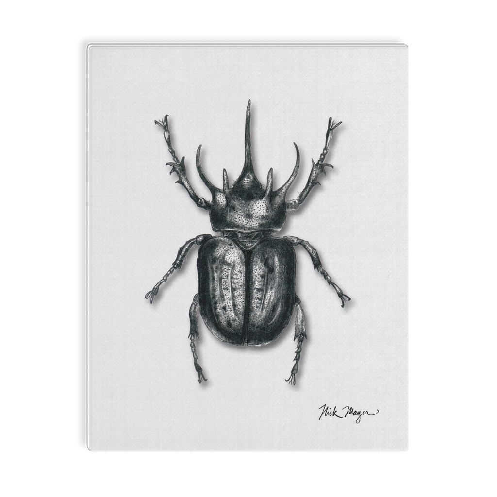 Rhinoceros Beetle Canvas Print