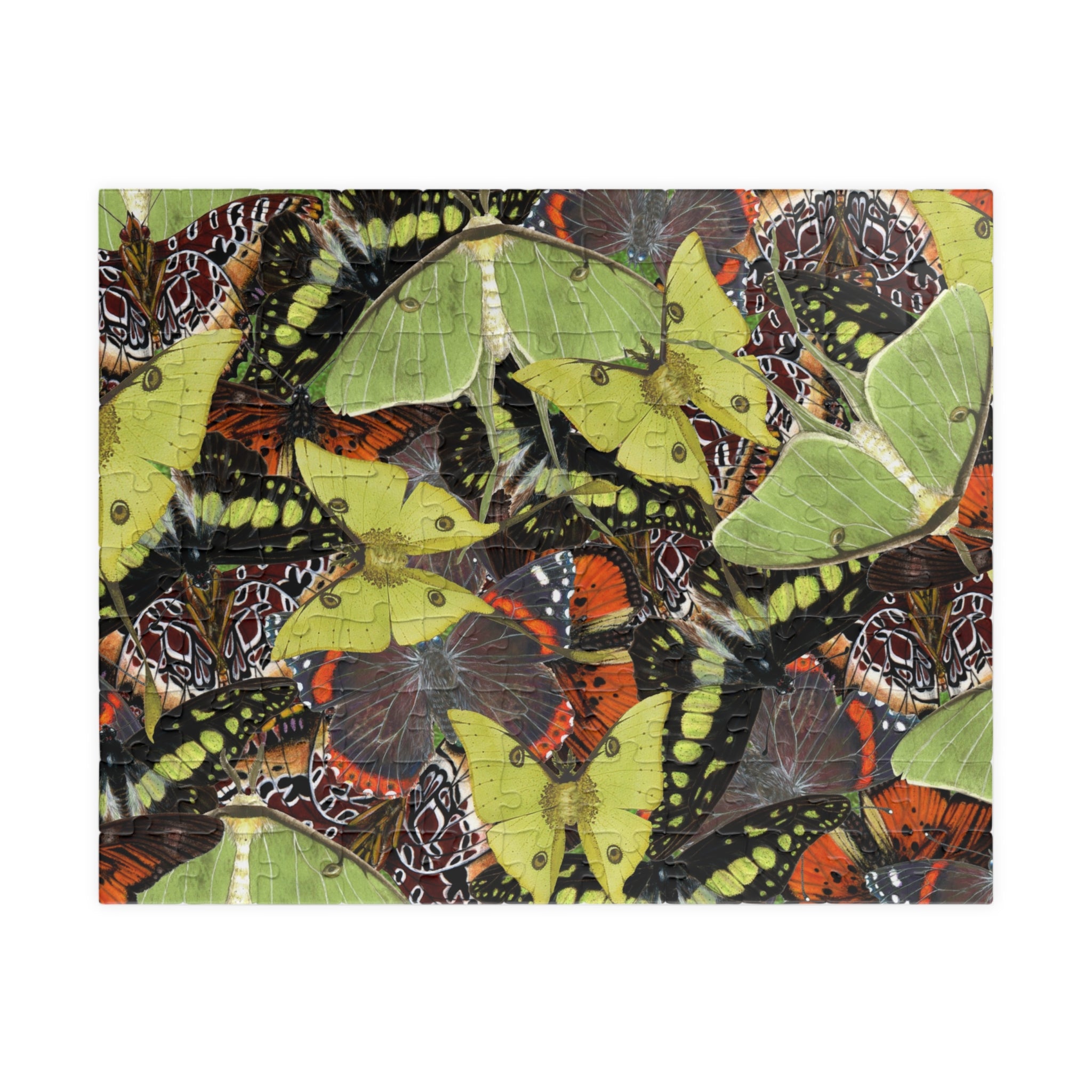 Butterflies and Moths Art Jigsaw Puzzle (110, 252, 520, 1014-piece)