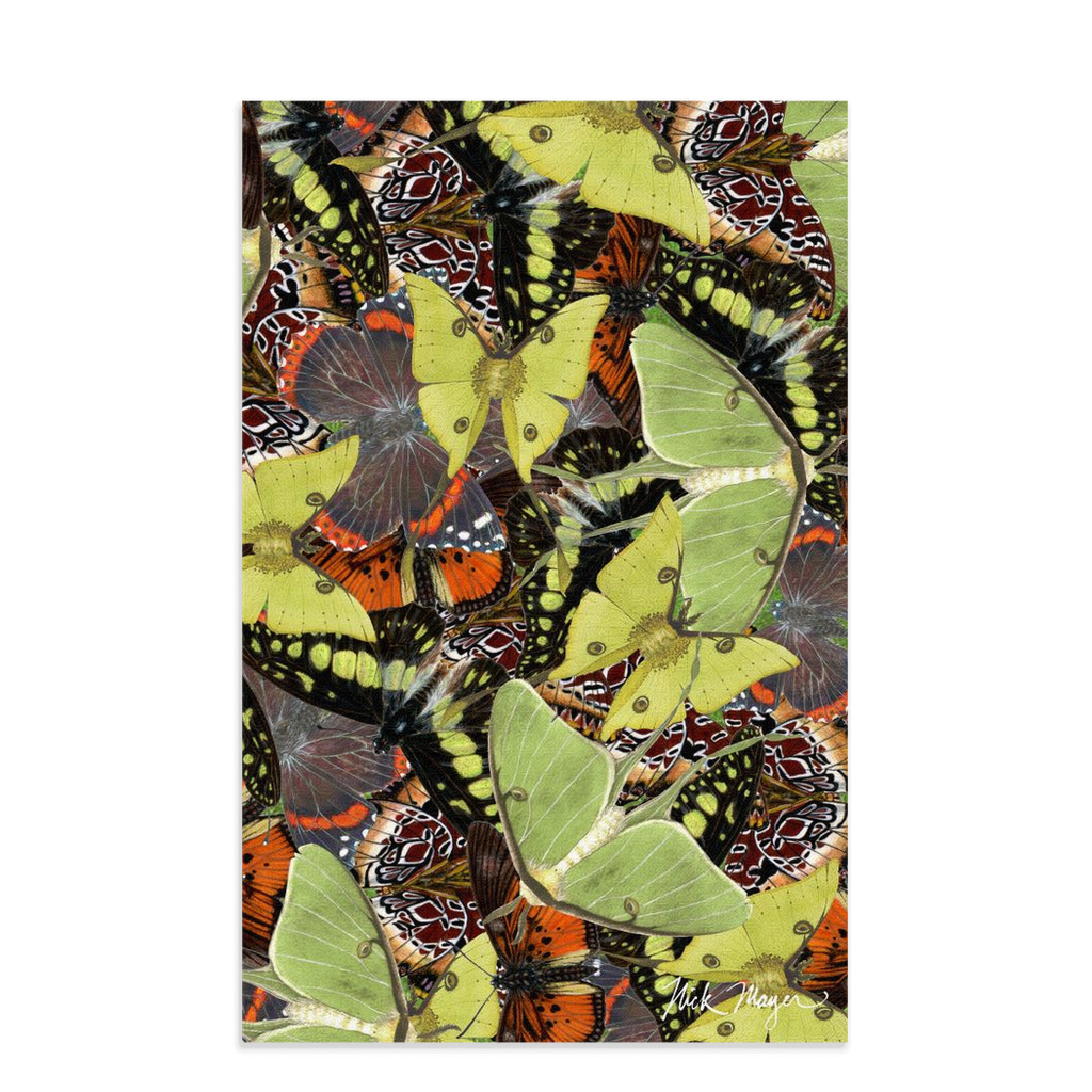 Butterflies and Moths Soft Kitchen Towel