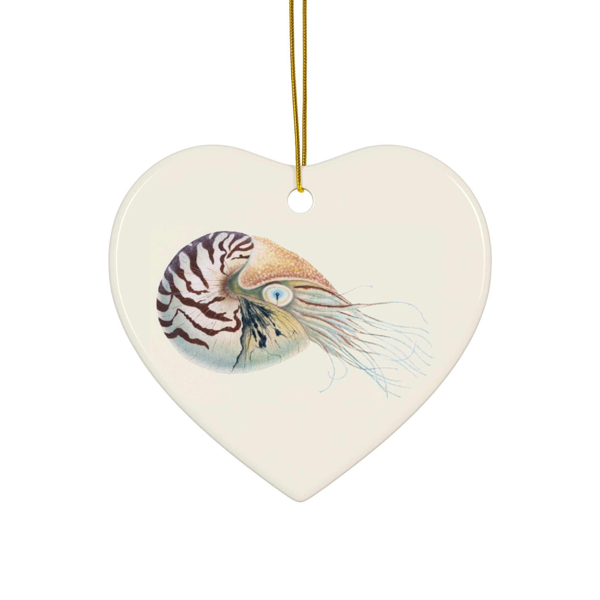 Chambered Nautilus Ceramic Ornament