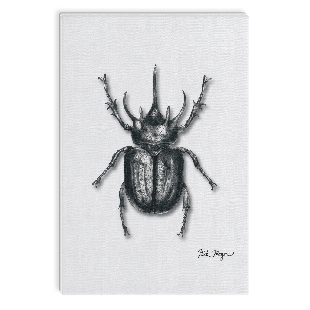 Rhinoceros Beetle Canvas Print