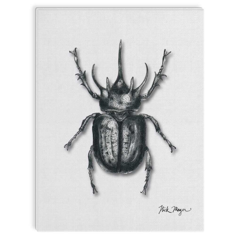 Rhinoceros Beetle Canvas Print