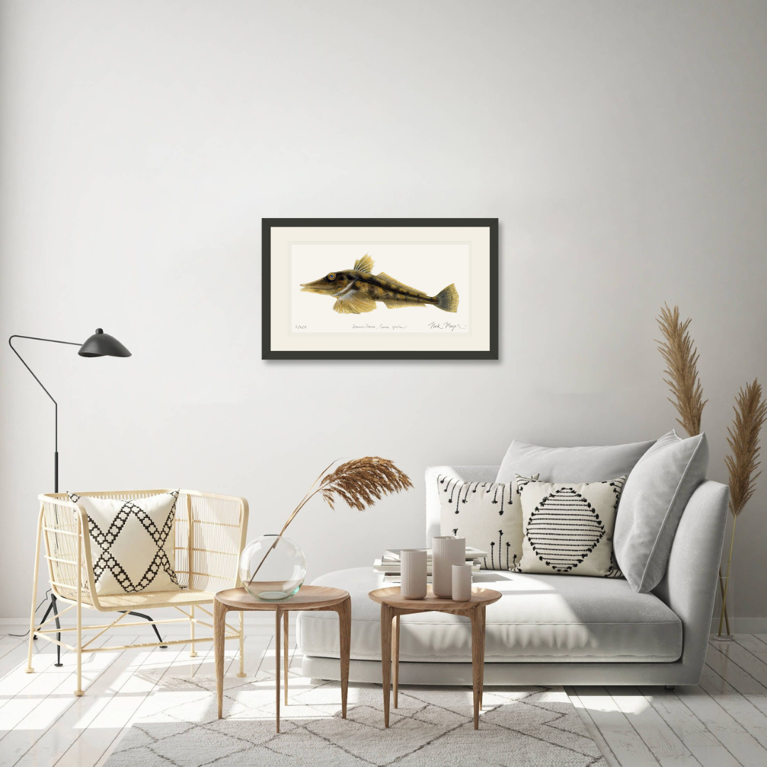 Antarctic Icefish Limited Edition Print