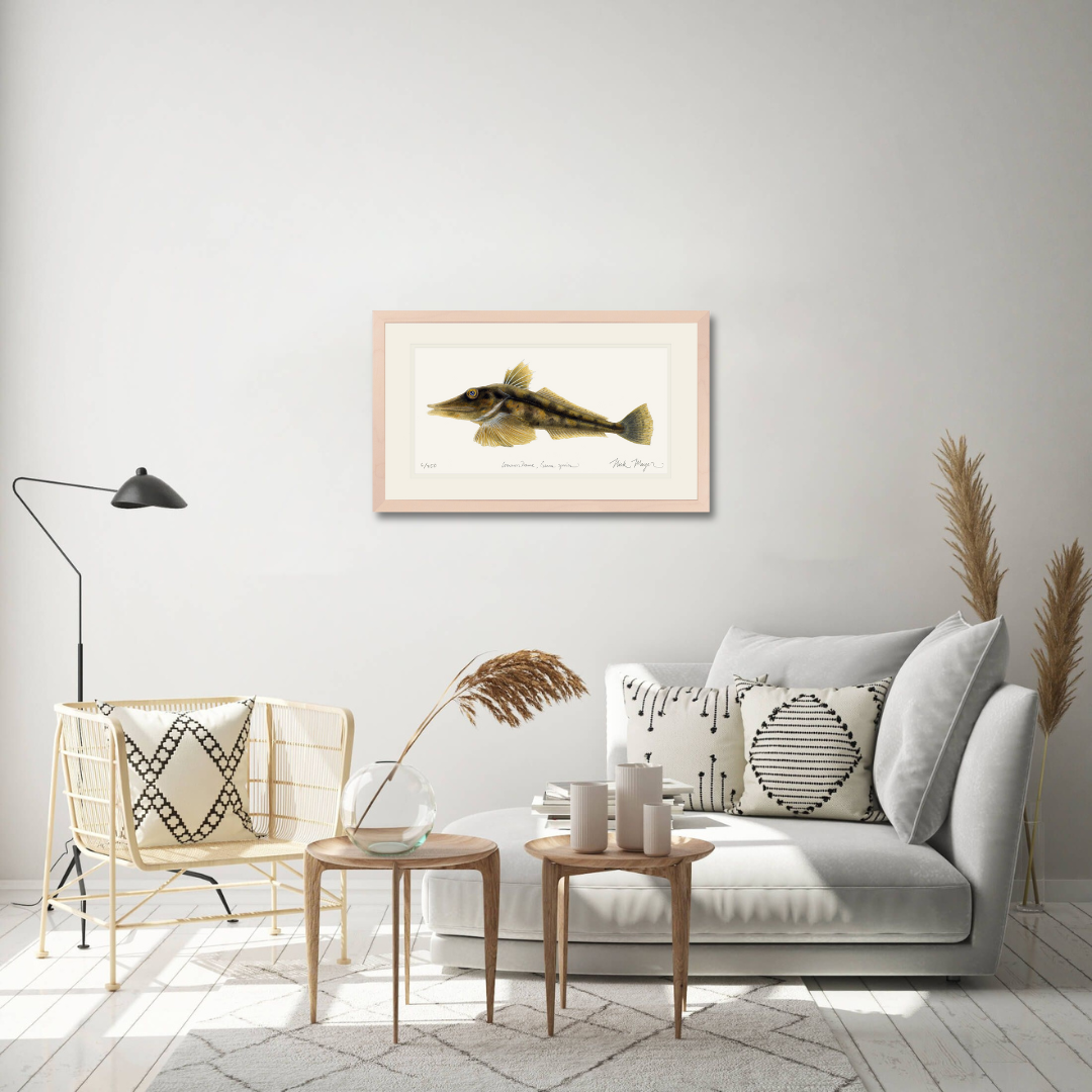 Antarctic Icefish Limited Edition Print