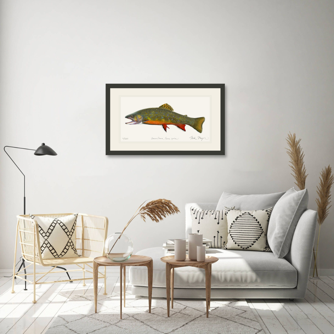 Beaver Pond Brook Trout Limited Edition Print - Best Seller