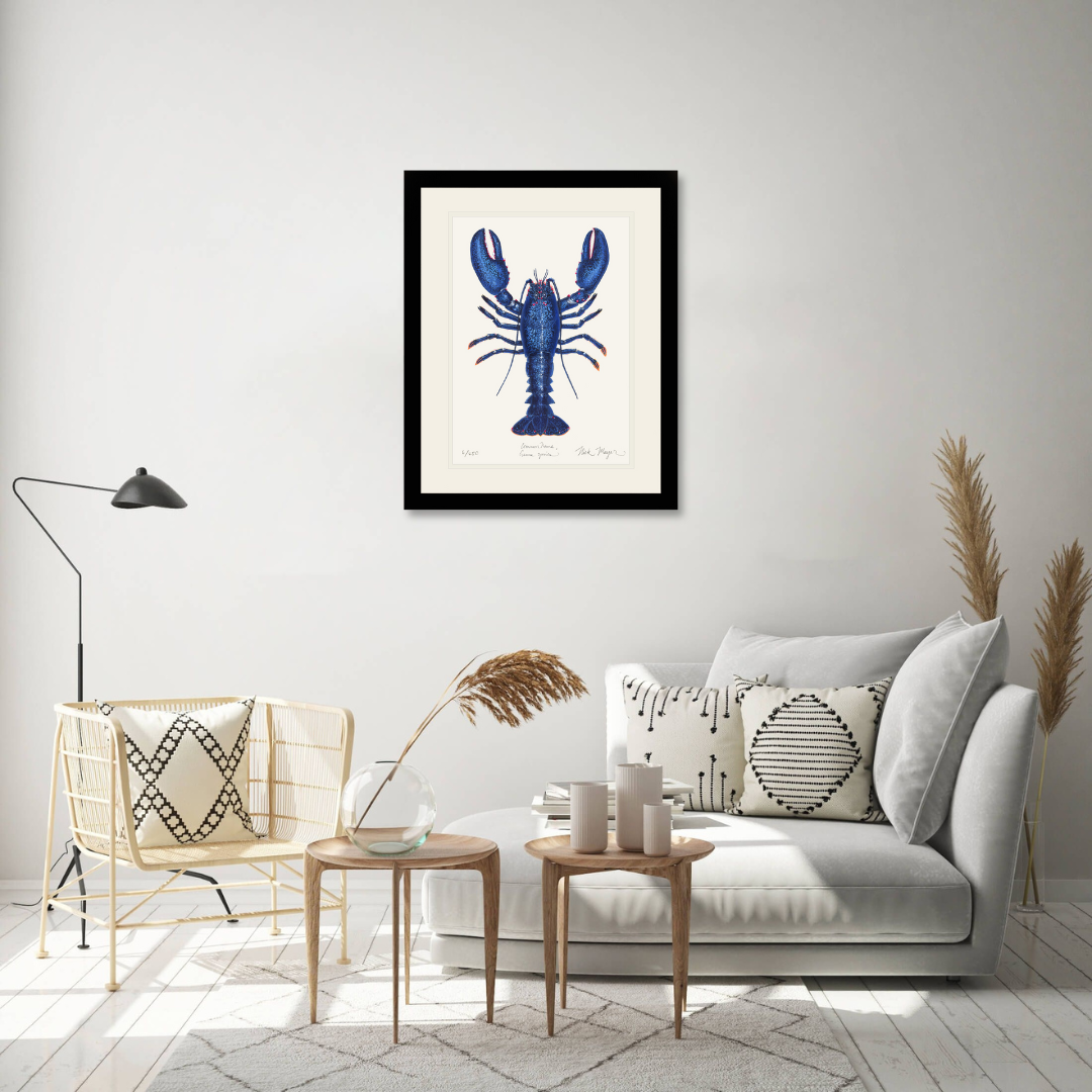 Blue Lobster II Limited Edition Print - Best Seller