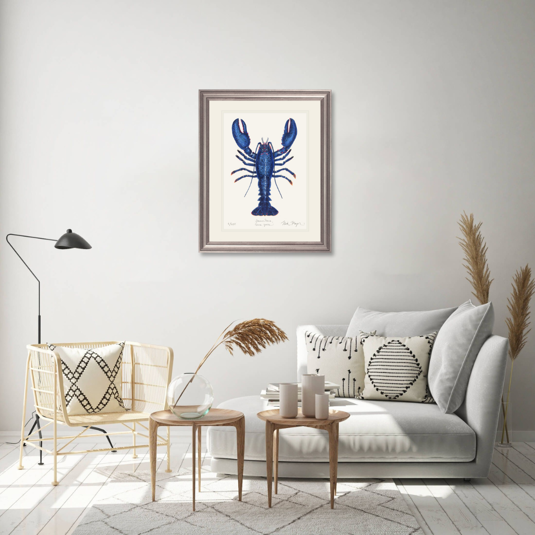 Blue Lobster II Limited Edition Print - Best Seller