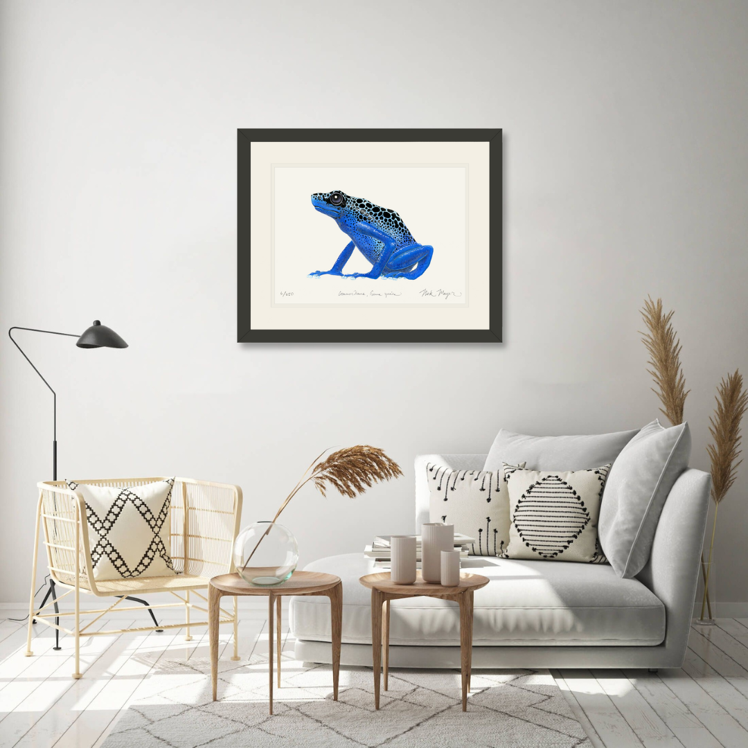 Blue Poison Dart Frog Limited Edition Print