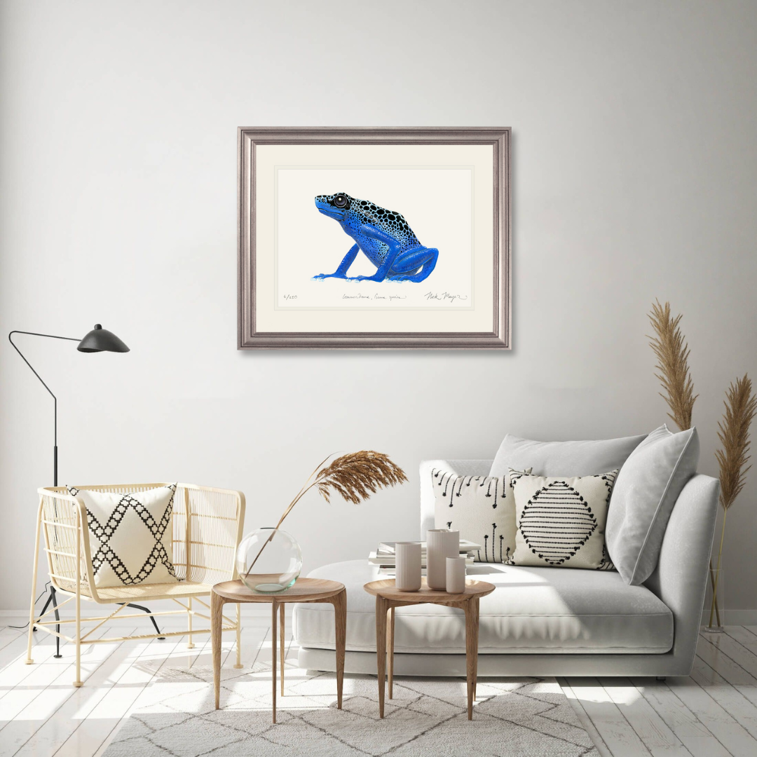 Blue Poison Dart Frog Limited Edition Print