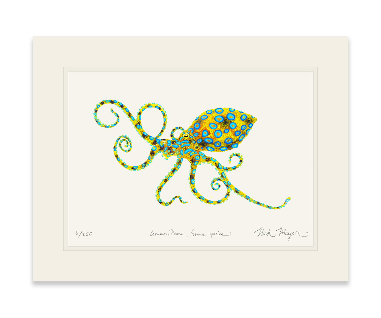 Blue Ringed Octopus Limited Edition Print