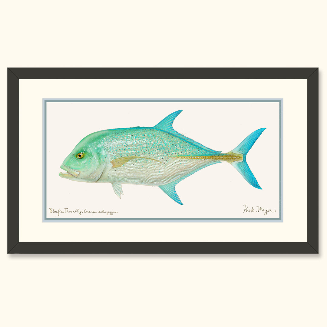 Bluefin Trevally Original Watercolor Painting