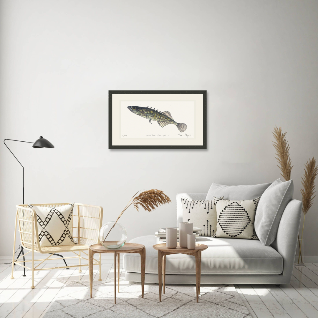 Brook Stickleback Limited Edition Print