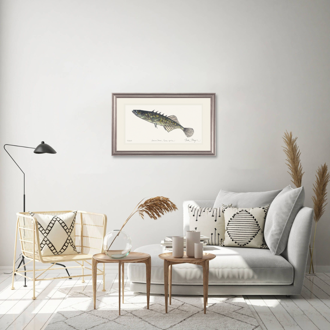 Brook Stickleback Limited Edition Print