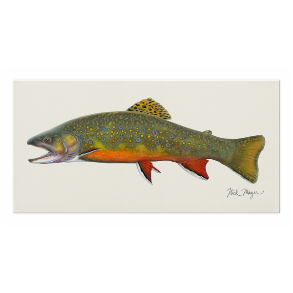 Grapefruit Brook Trout Wallpaper – Leland gal