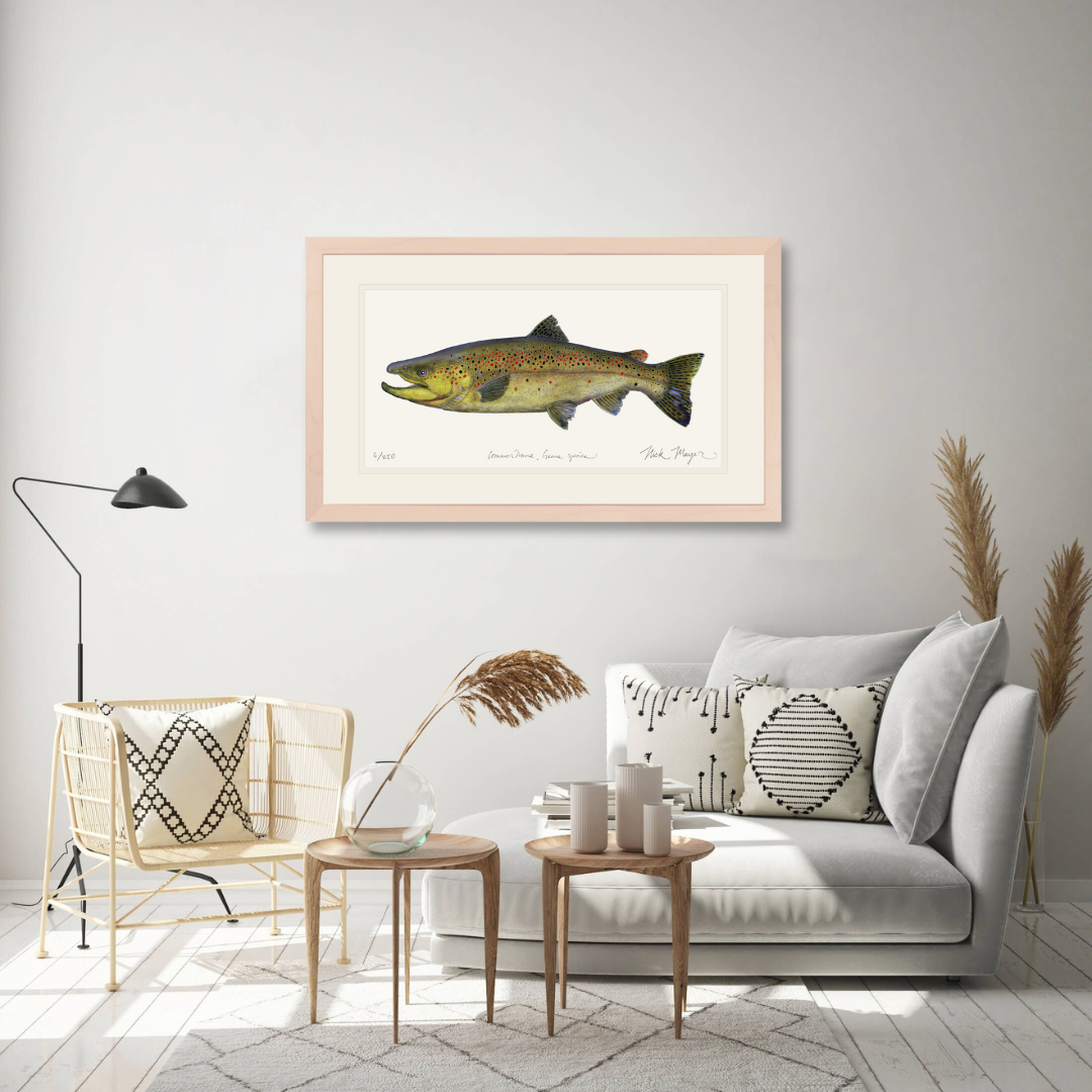 Brown Trout Limited Edition Print