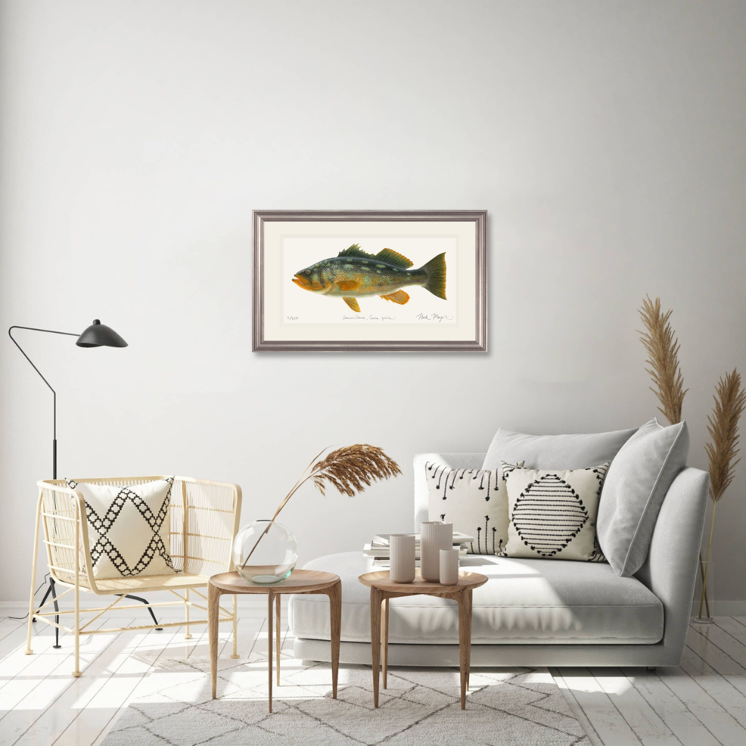 Bull Calico Bass III Limited Edition Print