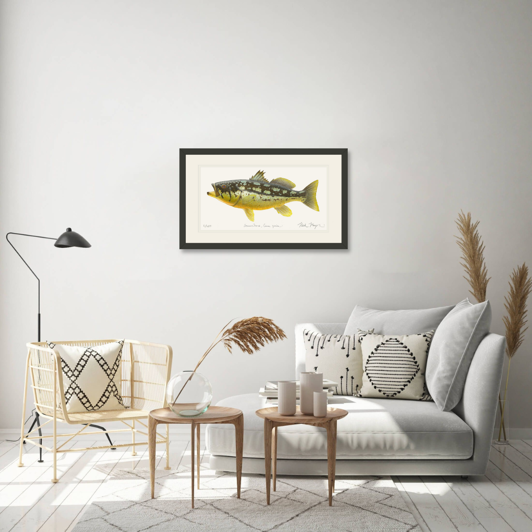 Calico Bass II Print