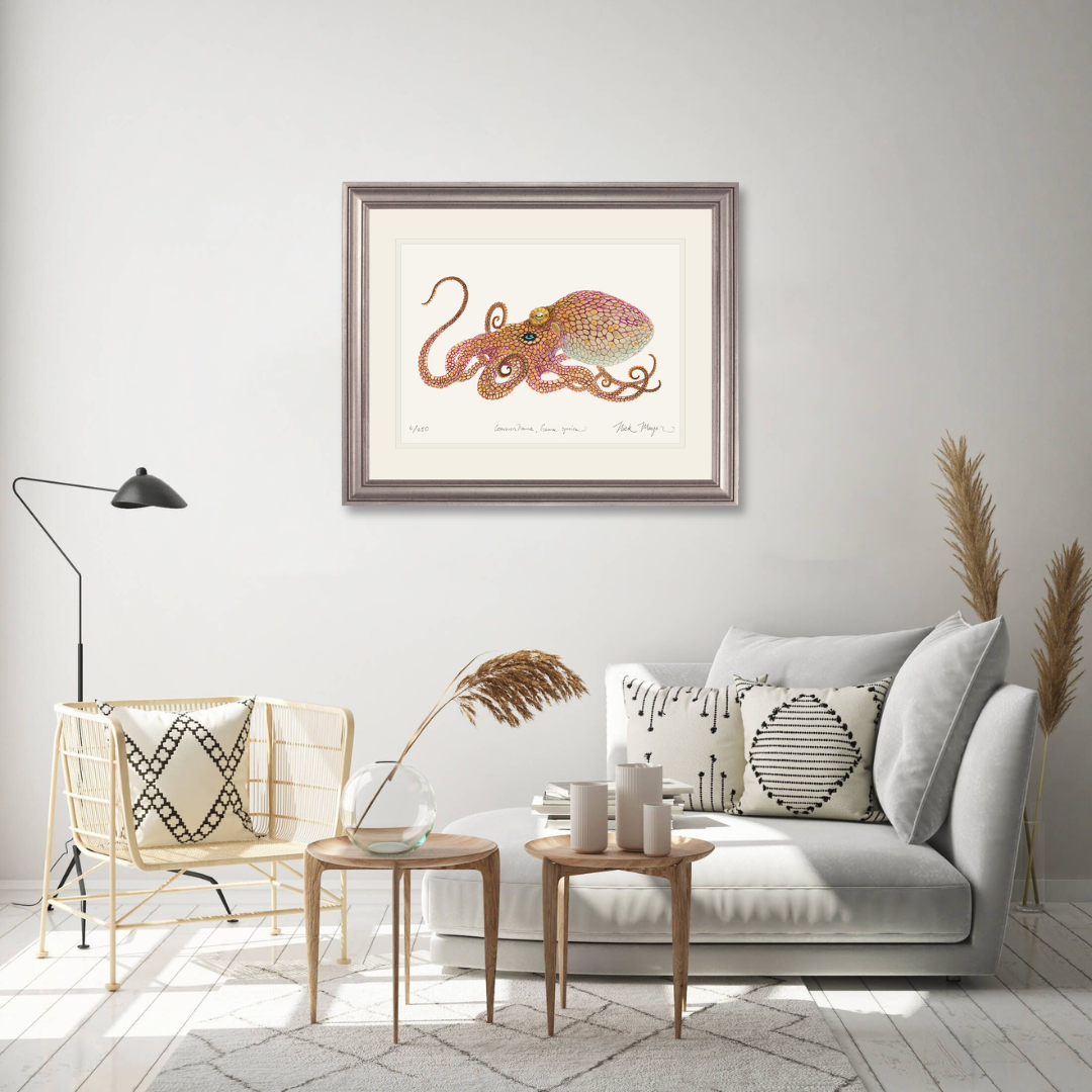 California Two Spot Octopus Print - Best Seller