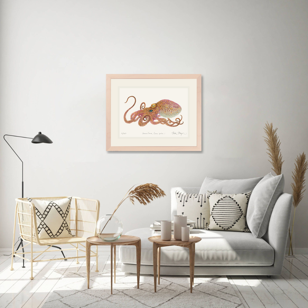 California Two Spot Octopus Print - Best Seller