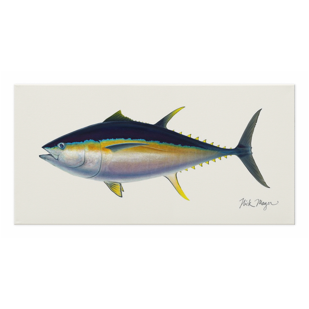 NEW! Bigeye Tuna Canvas Wrap