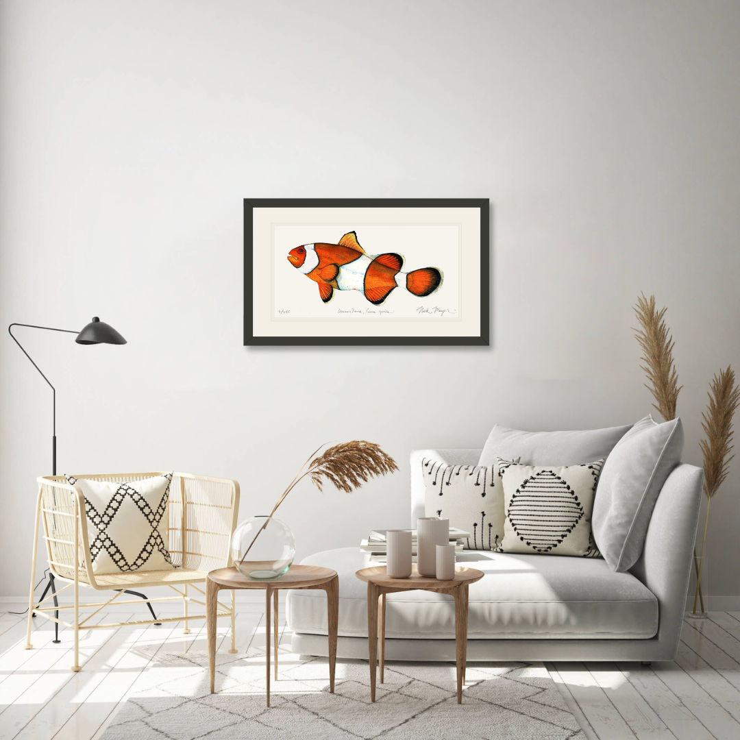 Clownfish Limited Edition Print