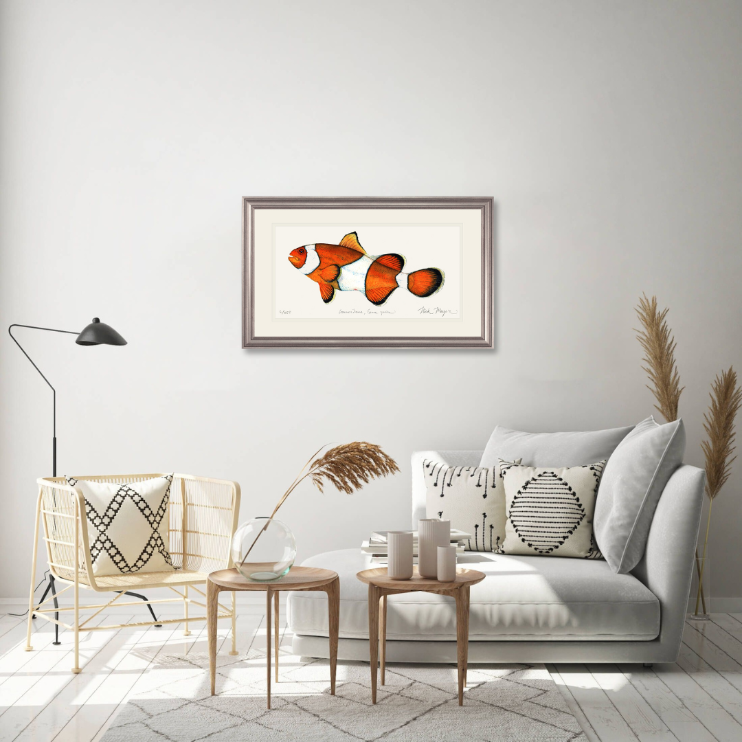 Clownfish Limited Edition Print