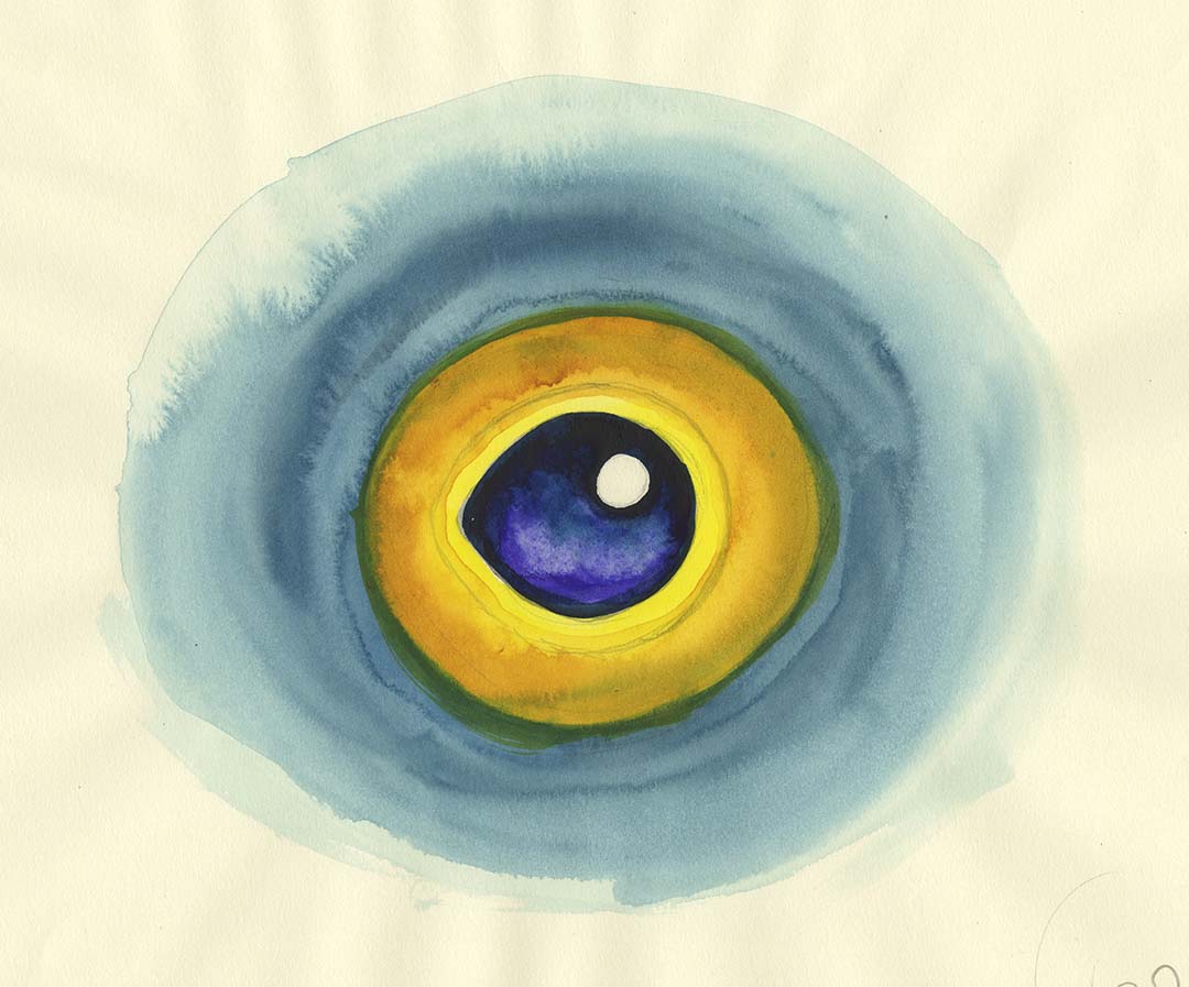 Eye watercolor study original painting