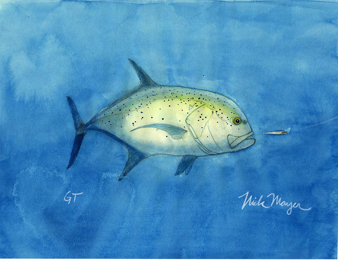 GT Giant Trevally watercolor study original painting