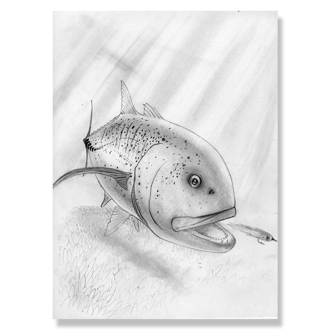 GT, Giant Trevally Original Pencil Drawing