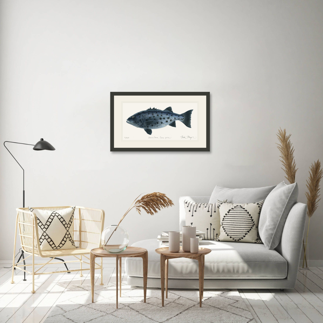 Giant Sea Bass Print