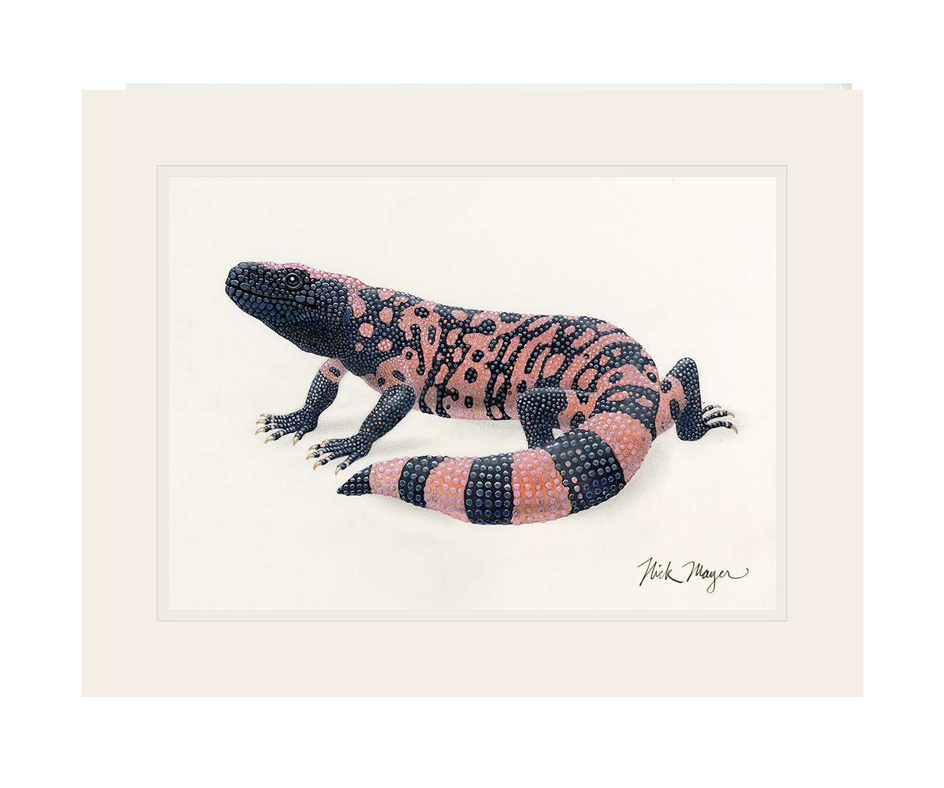 Gila Monster Limited Edition Print