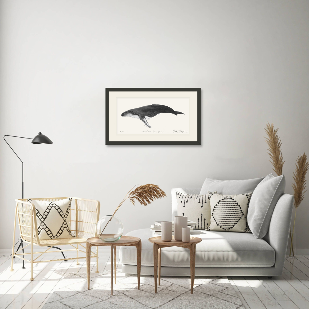 Humpback Whale Limited Edition Print (B&W)